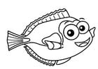 svärdfisk