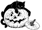 Målarbild svart katt pÃ¥ pumpa