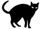 F�rgl�ggningsbilder svart katt