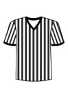 Målarbild t-shirt domaren