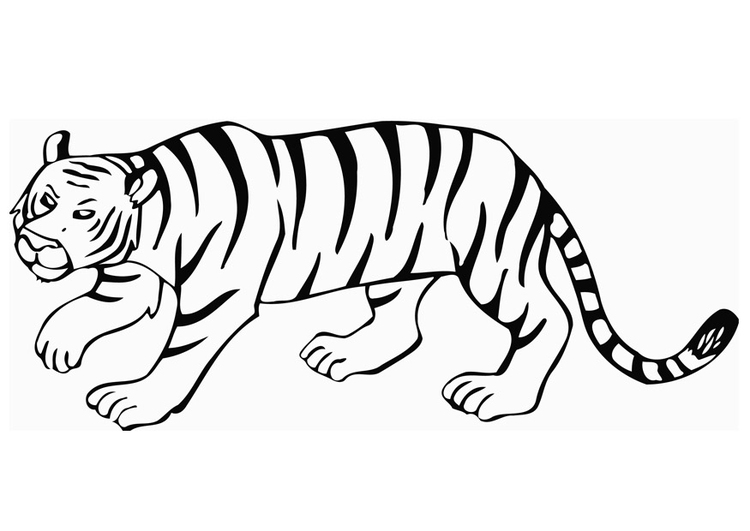 Målarbild tiger