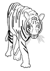 F�rgl�ggningsbilder tiger