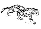 Målarbild tiger