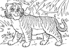 tiger,