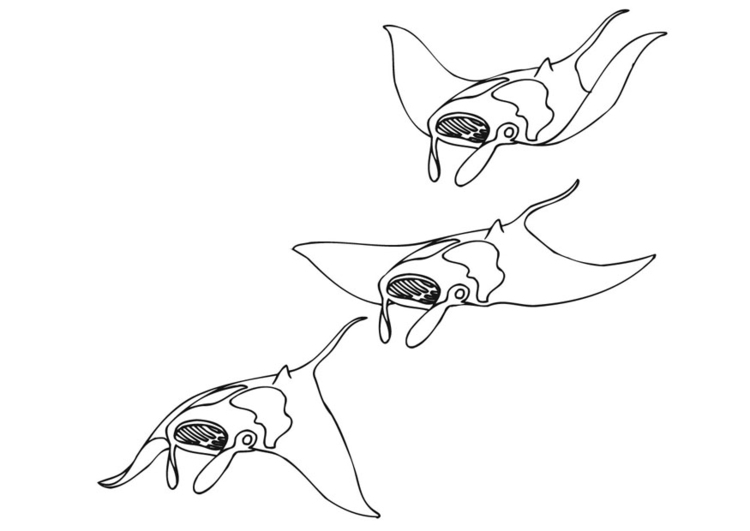Målarbild tre simmande rockor