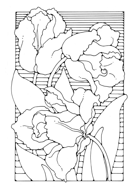 Målarbild tulipaner