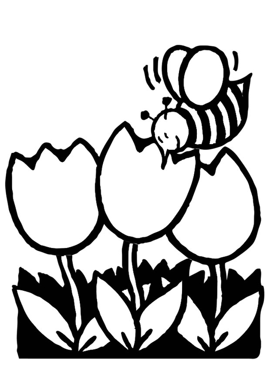 Målarbild tulpan med bi