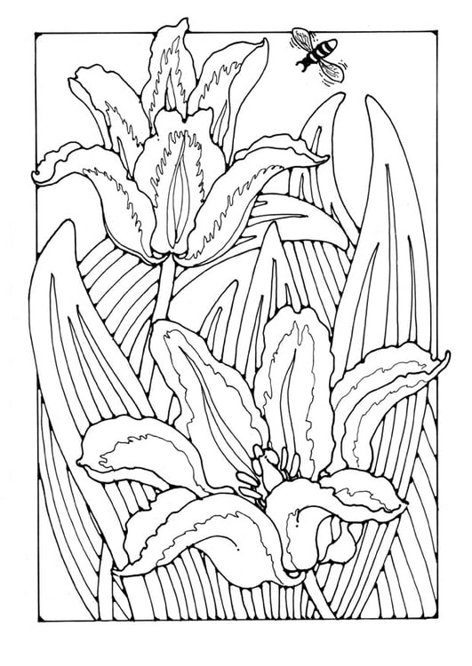 Målarbild tulpaner