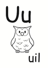 u