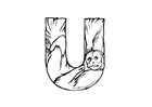 F�rgl�ggningsbilder u-uakari