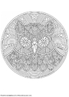 Målarbild uggla - mandala
