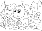 malarbild valp