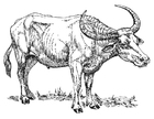 malarbild vattenbuffel