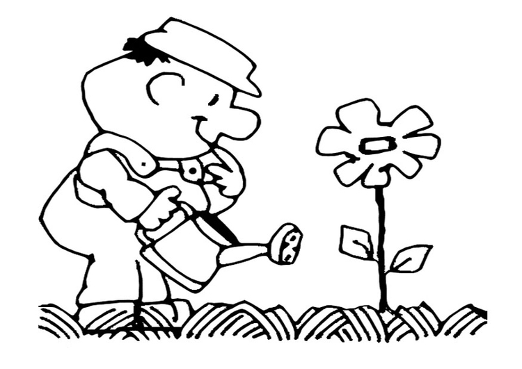 Målarbild vattna blommorna