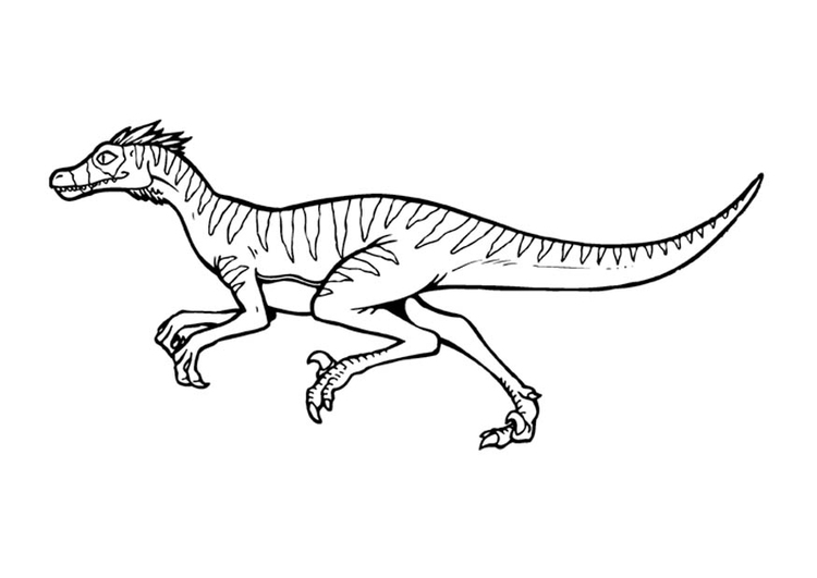 Målarbild velociraptor