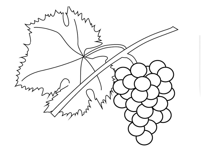 Målarbild vindruva