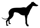 Målarbild vinthund