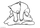 malarbild vombat