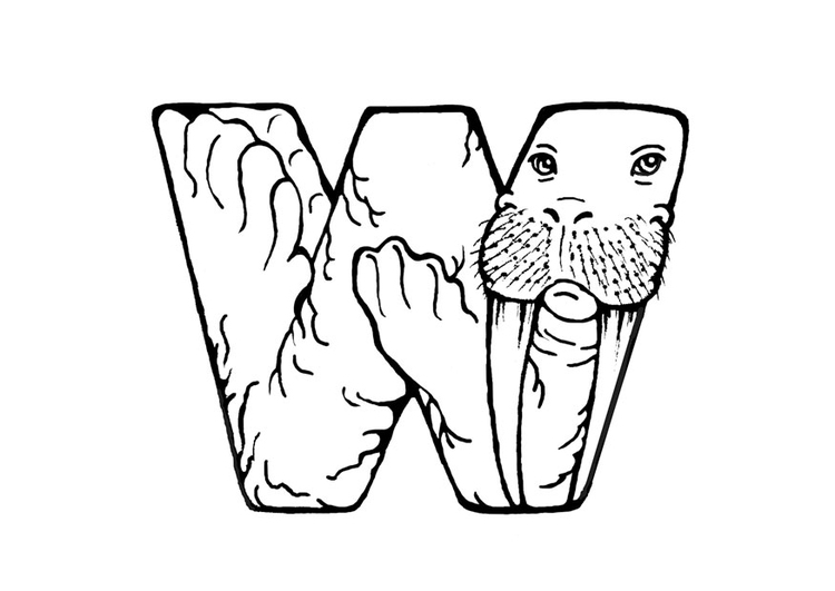 Målarbild w-walrus