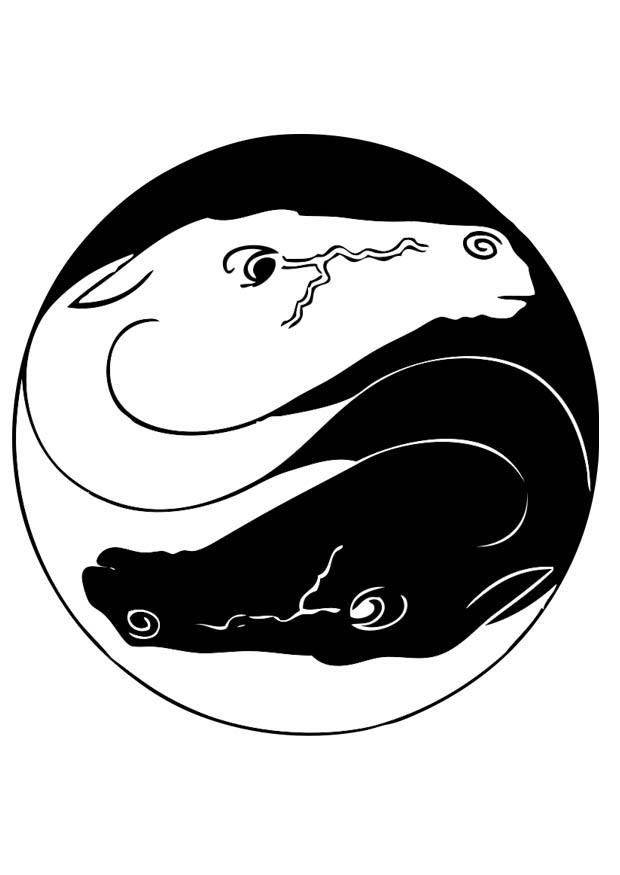 Målarbild ying och yang-hÃ¤star
